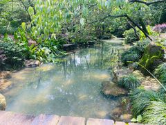 -杭州半山国家森林公园