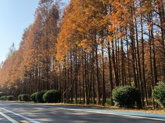 -盐城丹顶鹤湿地生态旅游区