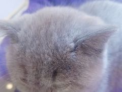 -凯德广场(武胜路店)