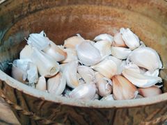 -大姨捞面(新安花园店)