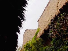 -茂德公草堂