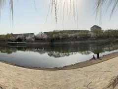 -桃花堤公园