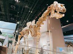 -武汉园博园(武汉自然博物馆)