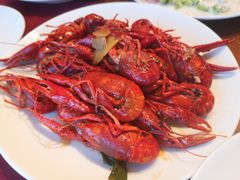 -嘉定凯悦·咖啡厅