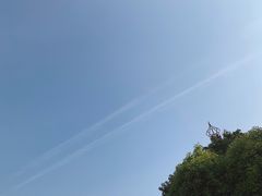 -洋湖国家湿地公园