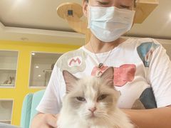 -Bastet sally猫舍购宠(静安店)