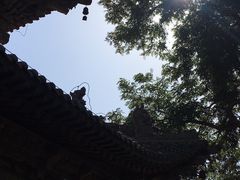 -张掖大佛寺景区