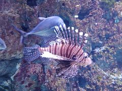 -威海华夏城景区