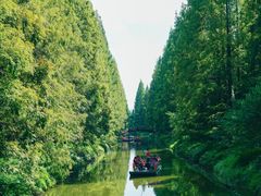 -黄海国家森林公园