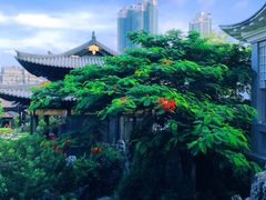 -广州西关永庆坊旅游区