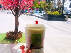 -奈雪的茶(市百一店)