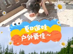 -前小桔亲子创意农场·草莓采摘·露营烧烤