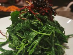 鸡枞菌豌豆尖-清水亭湖北菜(大屯DT51店)