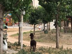 -北京鹿世界主题园