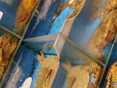 -添福来墨鱼饺子 · 海鲜东北菜(大连星海·黄浦路店)