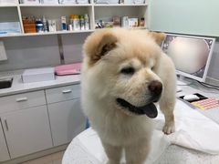 -佳雯宠物医院(金华南路分院)