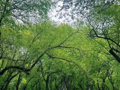 -长春市南湖公园