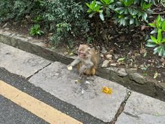 -黔灵山公园
