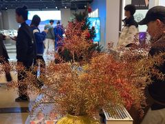 -GOGO Plate(成都太古里店)