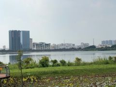 -立新湖公园