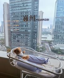 -巍阁高端月子会所