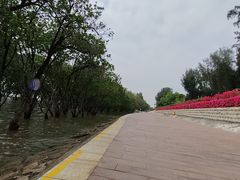 -宝安西湾红树林湿地公园