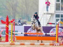 -北京群众马术培训基地