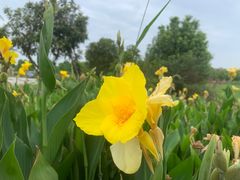 -小昆山驾校·基地自营(松江大学城实体店)