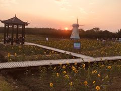 -武汉紫薇都市田园