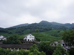 -龙井村