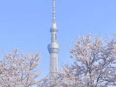 -成都濑川外国语学校