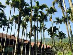 -海南槟榔谷黎苗文化旅游区