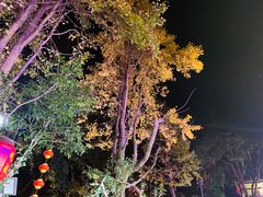 -国生茶庄·地道农家菜团建活动