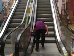 -紫荆广场·花漫里