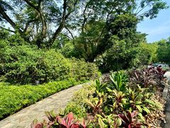 -新加坡植物园