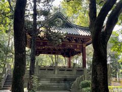 -汇龙潭