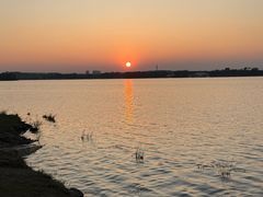 -丁香湖公园