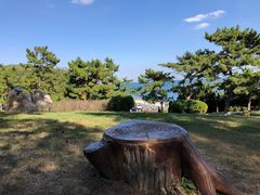 -棒棰岛宾馆景区