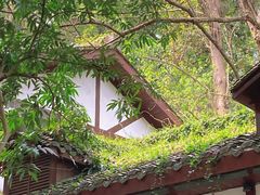 -忠山公园