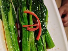 广东菜心-佬肥猫(周浦万达店)