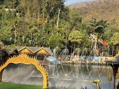 -西双版纳原始森林公园