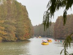 -上海海湾国家森林公园