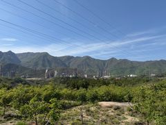 -白水寺森林公园