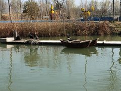 -泗洪洪泽湖湿地景区