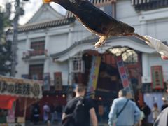 -浅草寺
