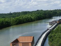 -东寨港红树林旅游区