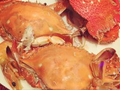 -视界美食自助餐厅·石家庄希尔顿酒店