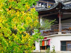 -塔川景区