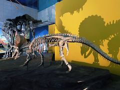 -湖南省地质博物馆