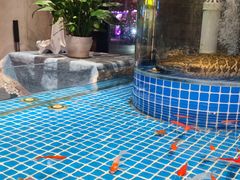 -老灶堂文创火锅(文艺路店)